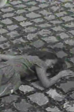A Mulher (1985)