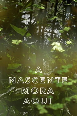 A Nascente Mora Aqui (2020) A Nascente Mora Aqui (2020)