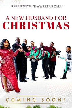 A New Husband for Christmas (2020) A New Husband for Christmas (2020)