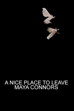 A Nice Place to Leave (2016) A Nice Place to Leave (2016)