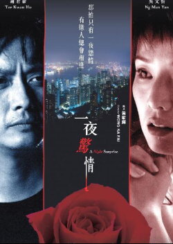 A Night Surprise (2007) A Night Surprise (2007)