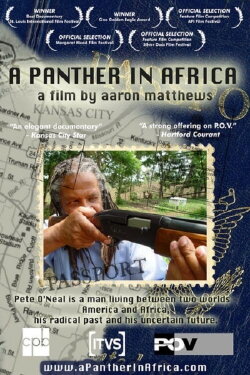 A Panther in Africa (2004) A Panther in Africa (2004)