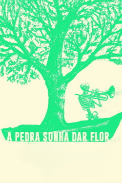 A Pedra Sonha Dar Flor (2024) A Pedra Sonha Dar Flor (2024)