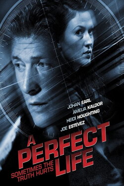 A Perfect Life (2011) A Perfect Life (2011)