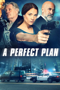 A Perfect Plan (2020) A Perfect Plan (2020)