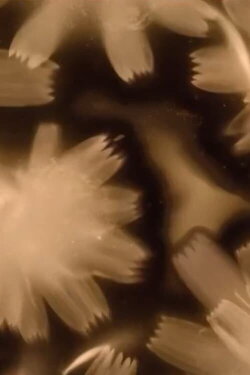 A Perfect Storm (2022)
