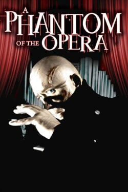 A Phantom of the Opera (2014) A Phantom of the Opera (2014)