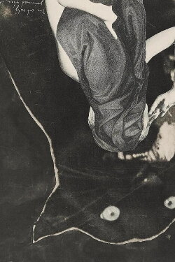 A Picture of Sarah Schumann (1978) A Picture of Sarah Schumann (1978)