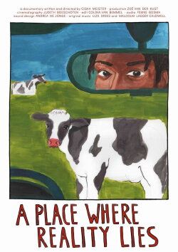 A Place Where Reality Lies (2022) A Place Where Reality Lies (2022)