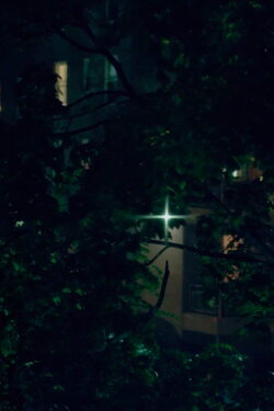 A Quality of Light (2020) A Quality of Light (2020)