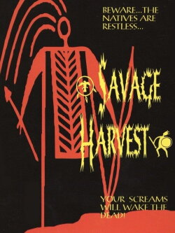 A Quarter Century Since the Harvest (2021) A Quarter Century Since the Harvest (2021)