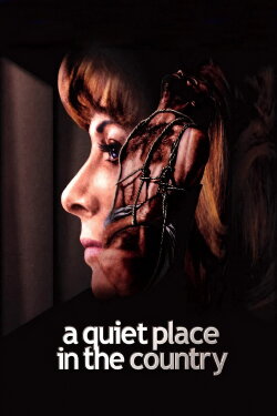 A Quiet Place in the Country (1968) A Quiet Place in the Country (1968)