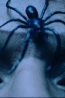 À quoi rêve l'araignée ? (1982) À quoi rêve l'araignée ? (1982)