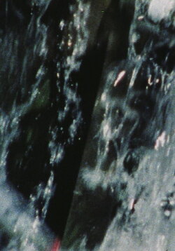 A Rain of Roses (To Rose Lowder) (1984) A Rain of Roses (To Rose Lowder) (1984)