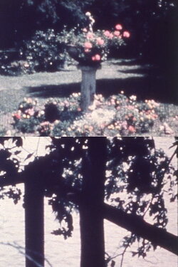 A Reticule of Love (1963) A Reticule of Love (1963)