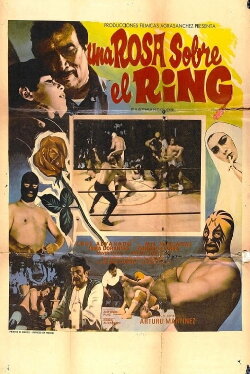 A Rose in the Ring (1973) A Rose in the Ring (1973)