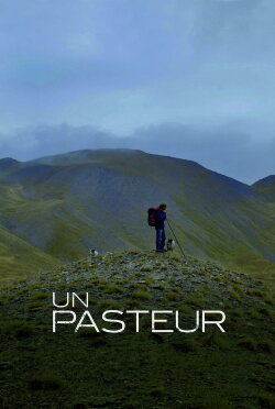 A Shepherd (2024) A Shepherd (2024)