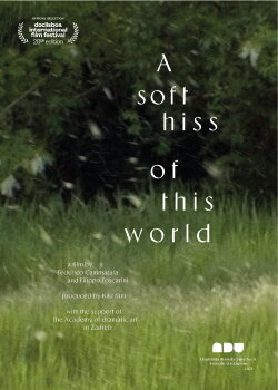 A Soft Hiss of This World (2022) A Soft Hiss of This World (2022)
