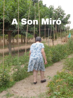 A Son Miró (2024)