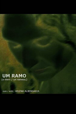 A Stem (2007)
