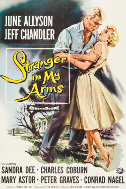 A Stranger in My Arms (1959) A Stranger in My Arms (1959)