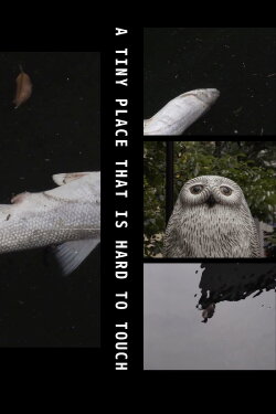A Tiny Place That Is Hard to Touch (2019) A Tiny Place That Is Hard to Touch (2019)
