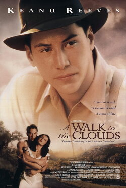 A Walk in the Clouds (1995) A Walk in the Clouds (1995)