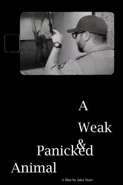 A Weak & Panicked Animal (2024) A Weak & Panicked Animal (2024)