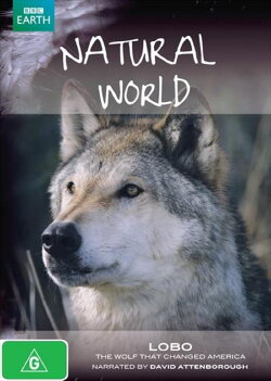 A Wolf Called Storm (2012)