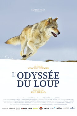 A Wolf's Journey (2019) A Wolf's Journey (2019)