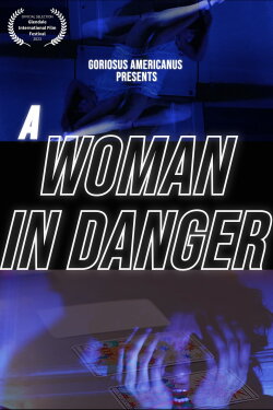 A Woman in Danger (2023) A Woman in Danger (2023)