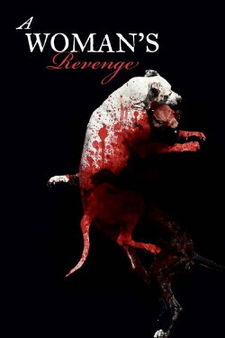 A Woman's Revenge (2012) A Woman's Revenge (2012)
