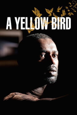 A Yellow Bird (2016) A Yellow Bird (2016)