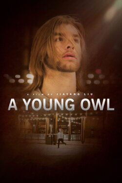 A Young Owl (2022)