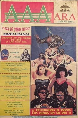 AAA TripleMania I (1993)