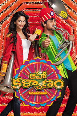 Aaha Kalyanam (2014) Aaha Kalyanam (2014)