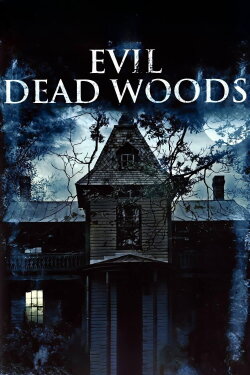 Abandoned Souls (2010) Abandoned Souls (2010)
