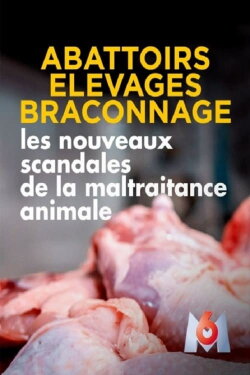Abattoirs, élevages, braconnage, les nouveaux scandales de la maltraitance animale (2019) Abattoirs, élevages, braconnage, les nouveaux scandales de la maltraitance animale (2019)