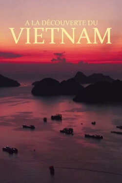 Abenteuer Vietnam (2020) Abenteuer Vietnam (2020)