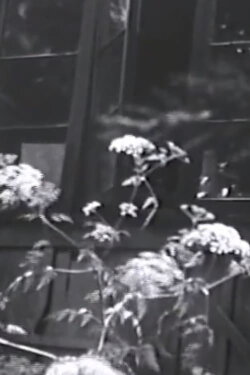 Aberhart's House (1976)