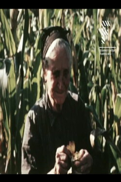 Aberria (Erria) (1961) Aberria (Erria) (1961)