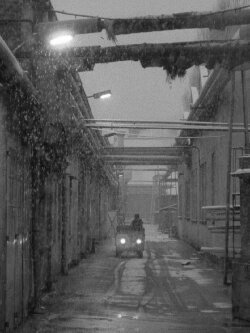 Abhängig (1984)