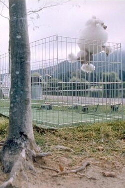 About Dogs And People (1993) About Dogs And People (1993)