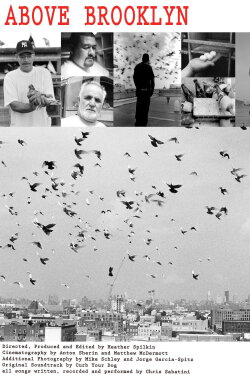 Above Brooklyn (2009)