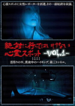 Absolutely Forbidden Haunted Spots Vol.1 (2013)