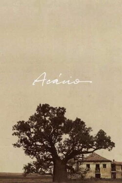Acácio (2008)