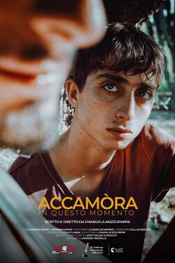 Accamòra (Right Now) (2020) Accamòra (Right Now) (2020)