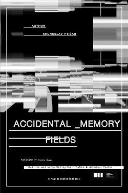 Accidental memory fields (2022) Accidental memory fields (2022)