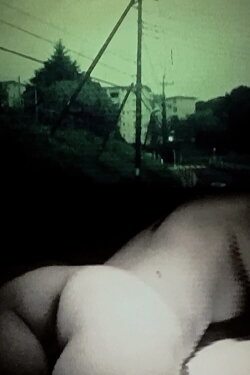 acclimation (2011) acclimation (2011)