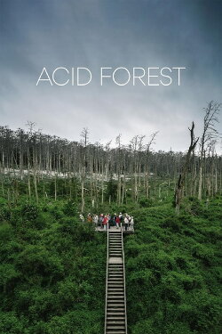 Acid Forest (2018) Acid Forest (2018)